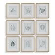 Nature's Script Framed Botanical Prints (Set of 9) Gold / Green / White - Gold / White by Uttermost - View 1