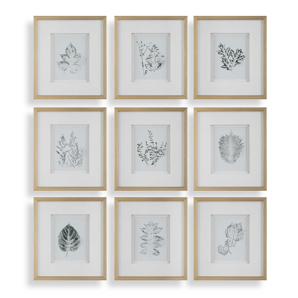Nature's Script Framed Botanical Prints (Set of 9) Gold / Green / White - Gold / White by Uttermost - View 1