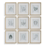 Nature's Script Framed Botanical Prints (Set of 9) Gold / Green / White - Gold / White by Uttermost - View 1