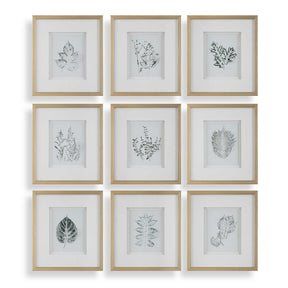 Nature's Script Framed Botanical Prints (Set of 9) Gold / Green / White - Gold / White by Uttermost - View 1