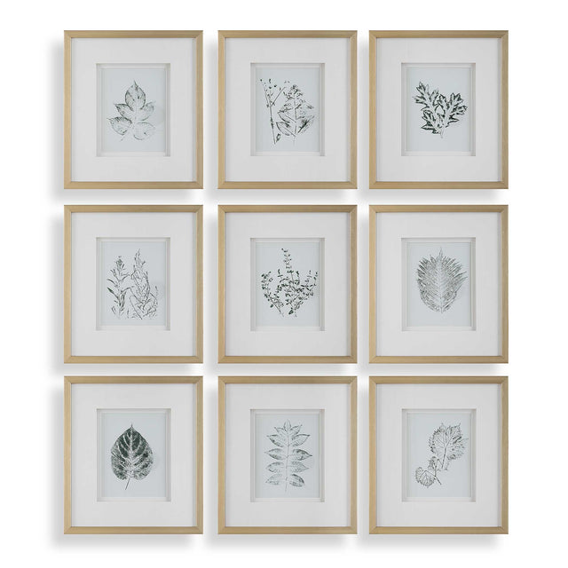 Nature's Script Framed Botanical Prints (Set of 9) Gold / Green / White - Gold / White by Uttermost - View 1