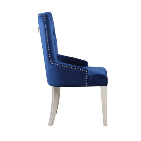 Acme - Varian Side Chair 66162 Blue Fabric & Antique Platinum Finish