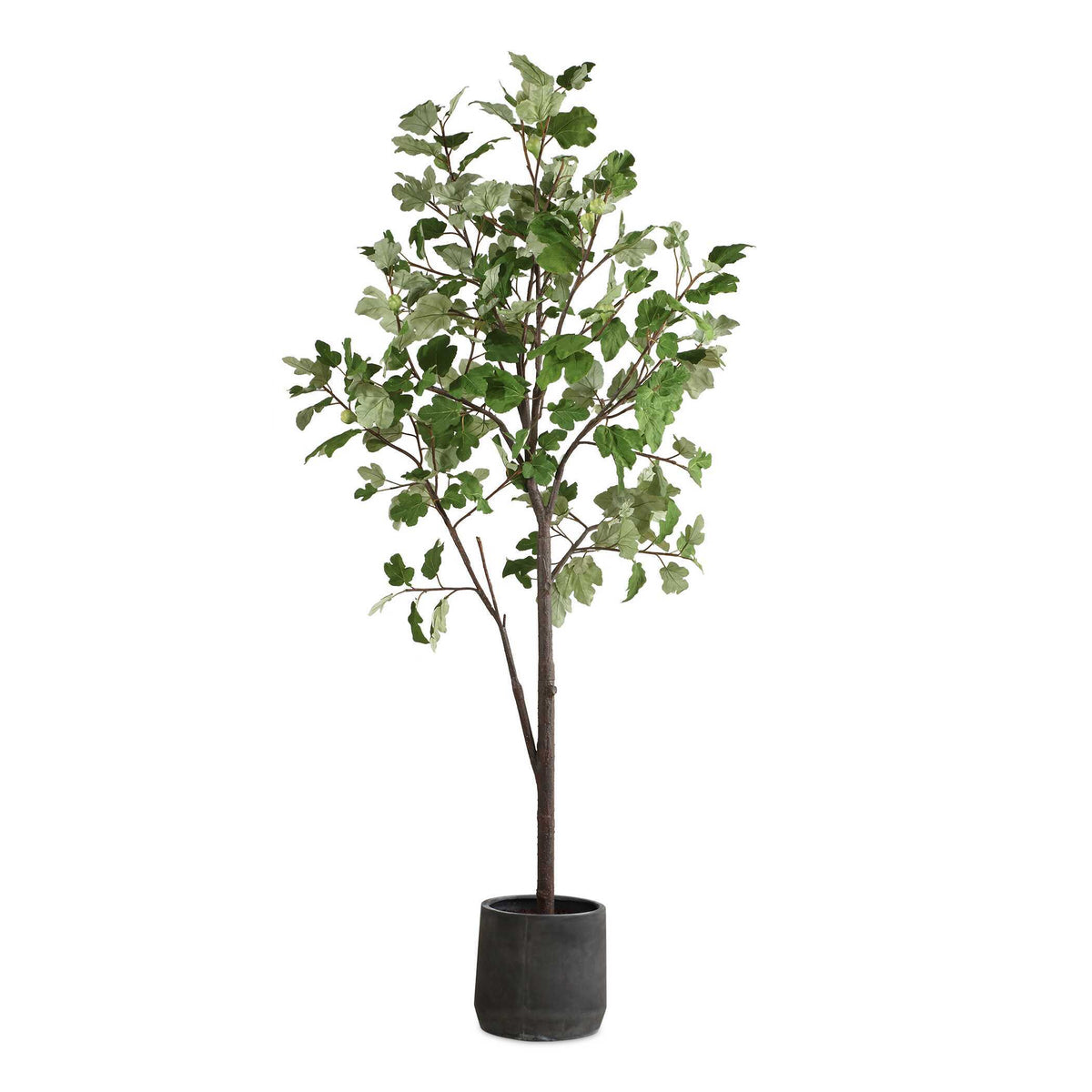 Eden Potted Fig Tree - Green by Uttermost - View 1