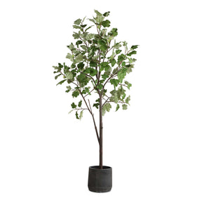 Eden Potted Fig Tree - Green by Uttermost - View 1