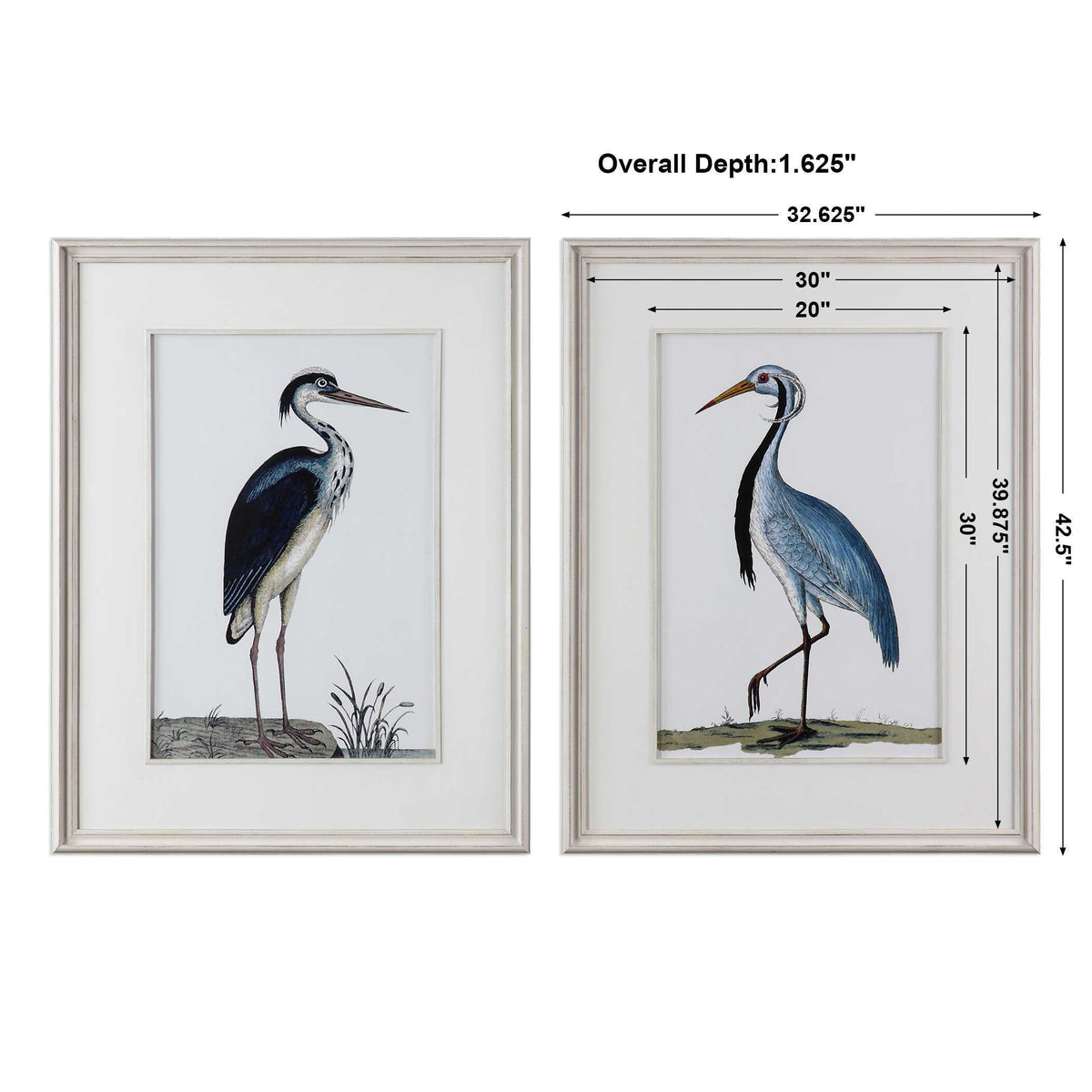 Shore Birds Framed Prints (Set of 2) - Black / Blue by Uttermost - View 3
