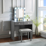 Gray Makeup Vanity and Stool Set with 10 Lights and USB Port and Power Outlet, 2x Drawers Luxurious Style Furniture