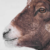 Big Horn Sheep Framed Print Black / Brown / White - Dark Brown / White by Uttermost - View 5