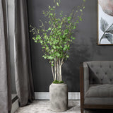 Aldis Potted River Birch - Gray / Green by Uttermost - View 2
