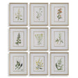 Botanical Flowers Framed Prints (Set of 9) - Green by Uttermost - View 1