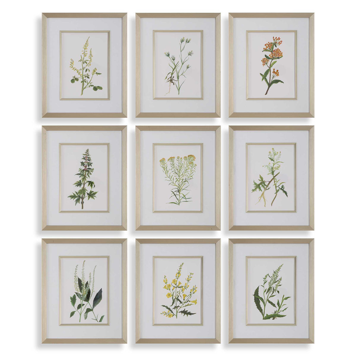 Botanical Flowers Framed Prints (Set of 9) - Green by Uttermost - View 1