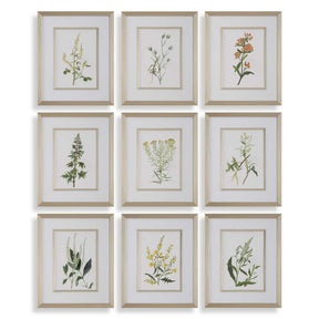 Botanical Flowers Framed Prints (Set of 9) - Green by Uttermost - View 1