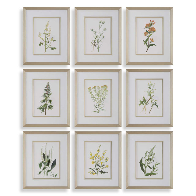 Botanical Flowers Framed Prints (Set of 9) - Green by Uttermost - View 1