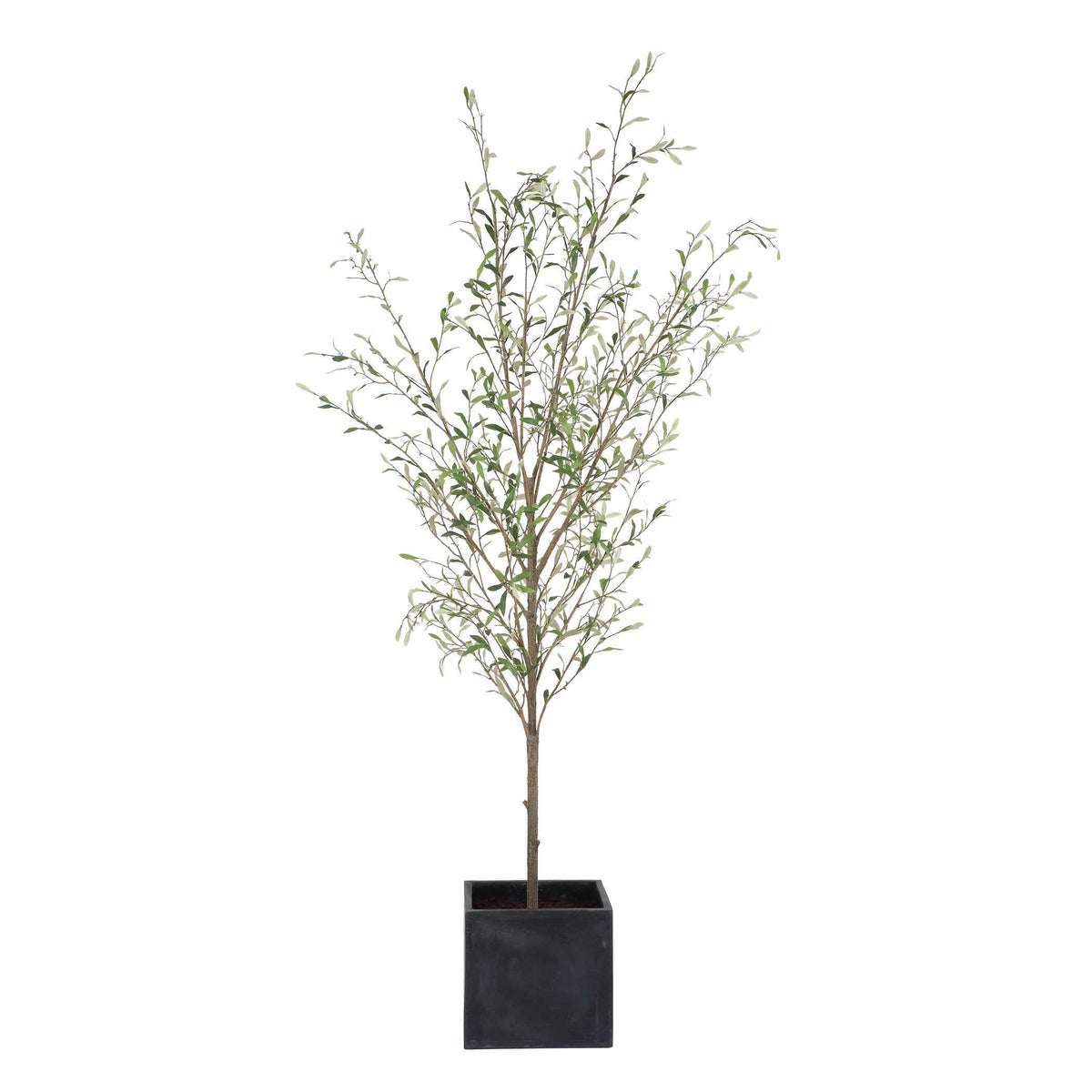 Abundance Potted Olive Tree - Black / Green by Uttermost - View 3