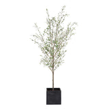 Abundance Potted Olive Tree - Black / Green by Uttermost - View 3