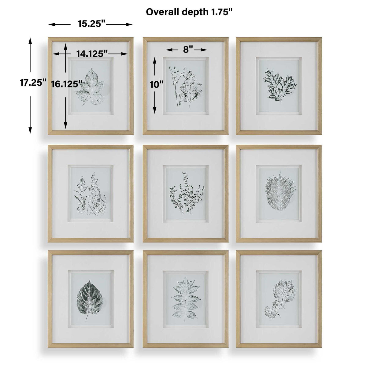 Nature's Script Framed Botanical Prints (Set of 9) Gold / Green / White - Gold / White by Uttermost - View 8