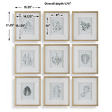 Nature's Script Framed Botanical Prints (Set of 9) Gold / Green / White - Gold / White by Uttermost - View 8