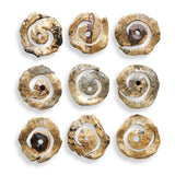 Corkscrew Wood Wall Decor (Set of 9) - Light Brown by Uttermost - View 5