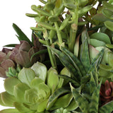 Mico Indoor-Outdoor Succulent Centerpiece - Green by Uttermost - View 6