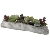 Charita Lush Succulents - Silver / Green by Uttermost - View 3