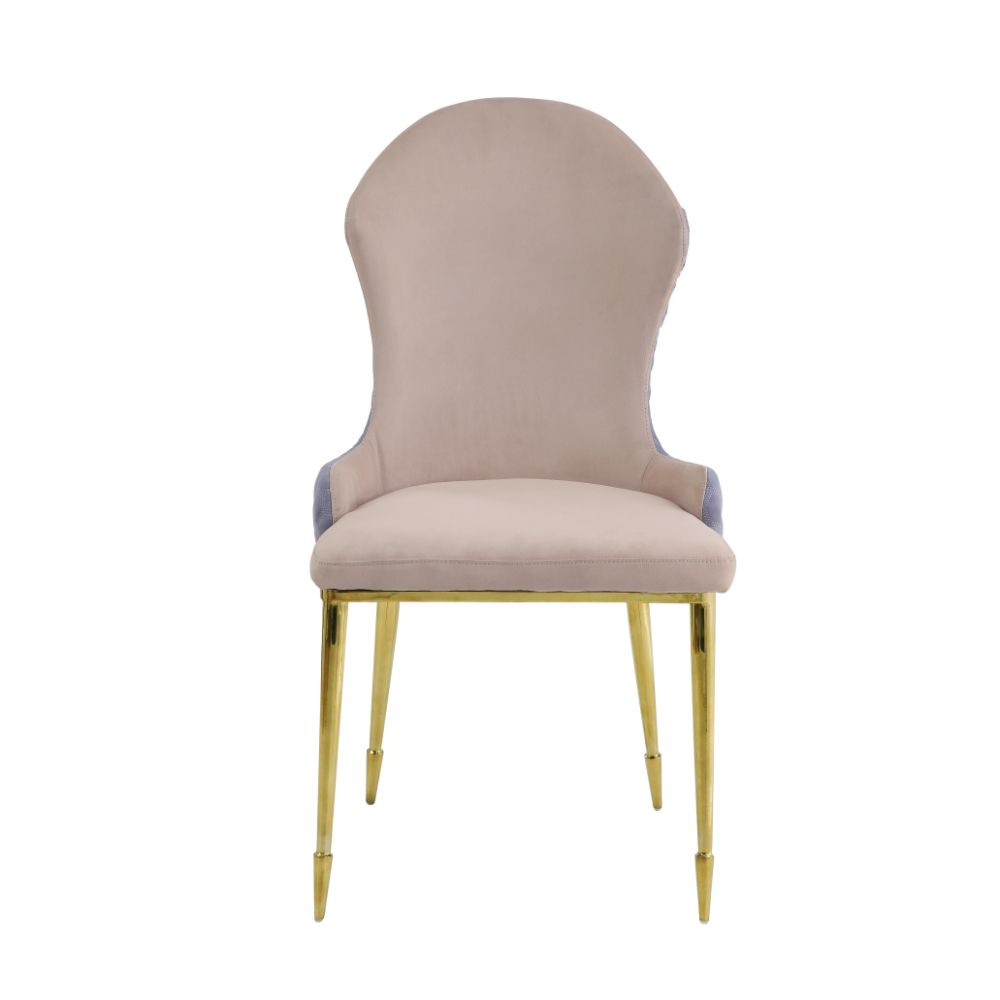 Caolan Side Chair (Set - 2) 72469 Tan, Lavender Fabric & Gold Finish | Acme | Home Elegance USA