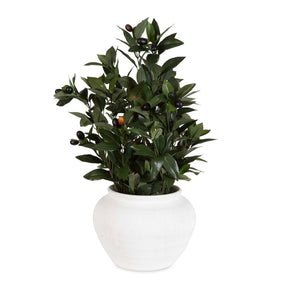 Elena Olive Centerpiece - White by Uttermost - View 1