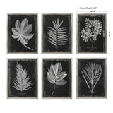 Foliage Framed Prints (Set of 6) - Black / Silver by Uttermost - View 7