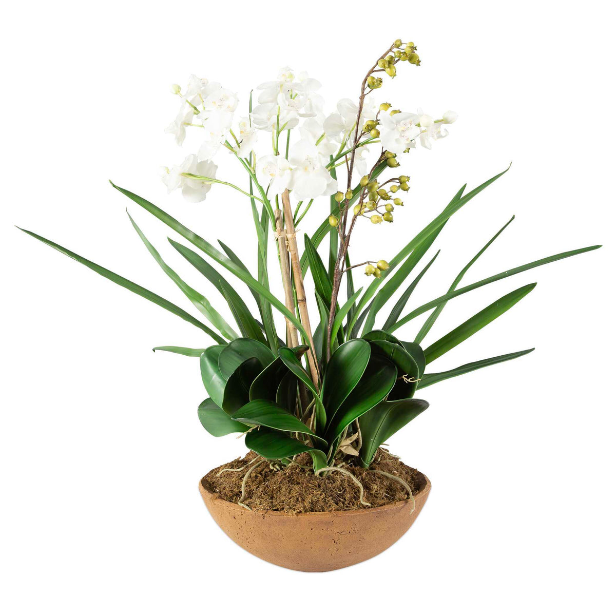 Moth Orchid Planter - Green / Light Brown by Uttermost - View 4