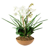 Moth Orchid Planter - Green / Light Brown by Uttermost - View 4