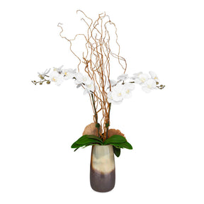 Earthbound Orchid With Vase - Dark Brown by Uttermost - View 1