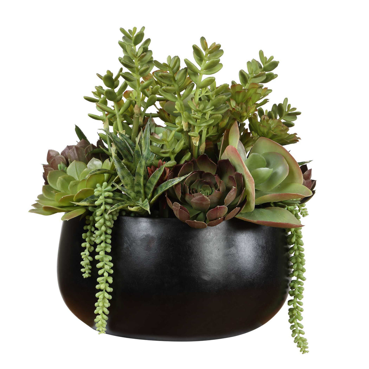 Mico Indoor-Outdoor Succulent Centerpiece - Green by Uttermost - View 5