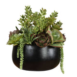 Mico Indoor-Outdoor Succulent Centerpiece - Green by Uttermost - View 5