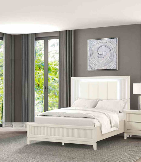 24604758