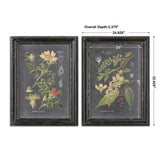 Midnight Botanicals Wall Art (Set of 2) - Black / Green by Uttermost - View 4