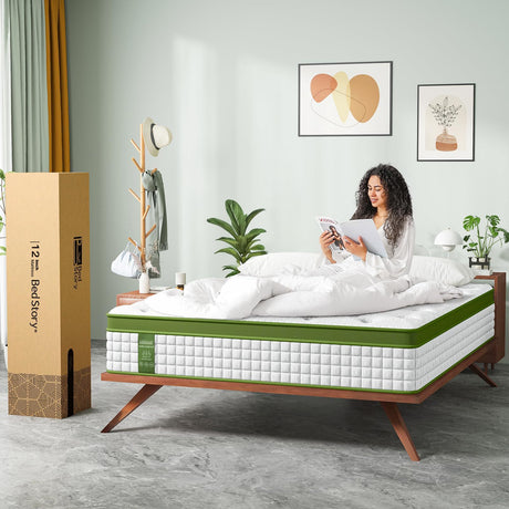 24601054