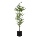 Boreal Potted Birch Tree - Dark Gray / Green by Uttermost - View 1