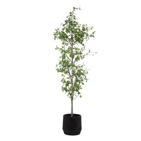 Boreal Potted Birch Tree - Dark Gray / Green by Uttermost - View 1