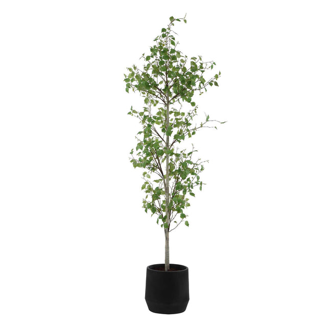 Boreal Potted Birch Tree - Dark Gray / Green by Uttermost - View 1