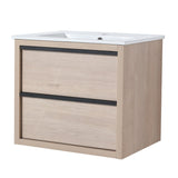 24" Bathroom Vanity with 2 Soft Close drawers, White Ceramic Basin - BVA02524PLO - G - BL9060B(W1286S00034) - W999S00071 - image - 13