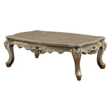 Acme - Ranita Coffee Table 81040 Marble Top & Champagne Finish