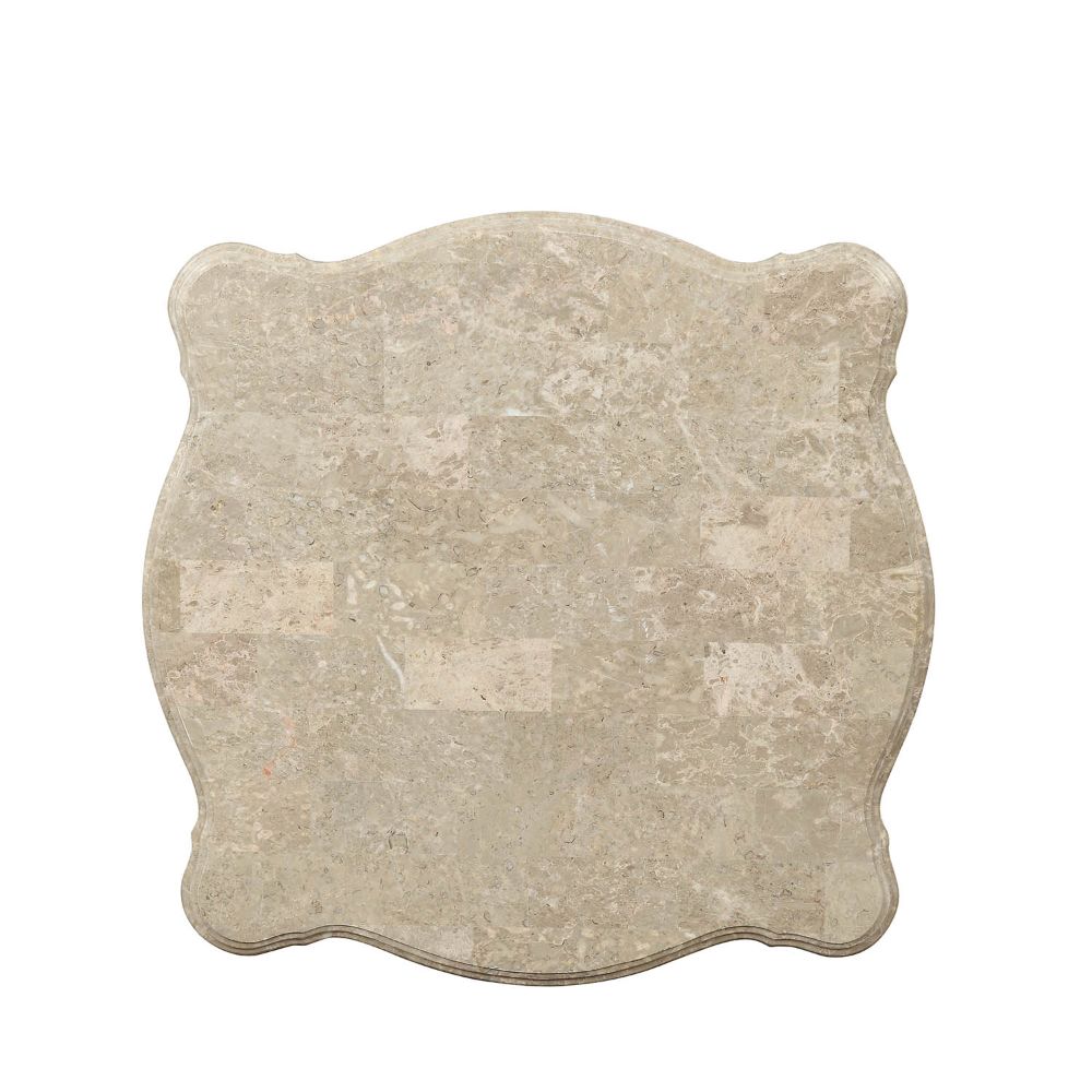 Acme - Ranita End Table 81042 Marble Top & Champagne Finish