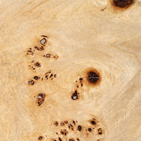 Modrest July - Modern Mapa Burl Round Coffee Table - sold by Home Elegance USA