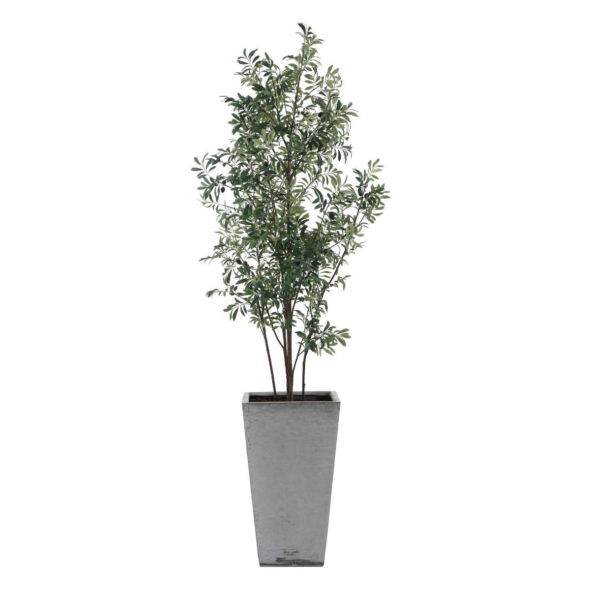Sonora Olive Tree In Planter - Gray / Green by Uttermost - View 4