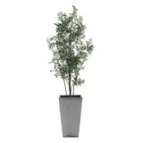 Sonora Olive Tree In Planter - Gray / Green by Uttermost - View 4