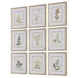 Botanical Flowers Framed Prints (Set of 9) - Green by Uttermost - View 4