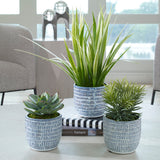 Puebla Greenery In Blue & White Pots (Set of 3) - Green / Blue by Uttermost - View 2