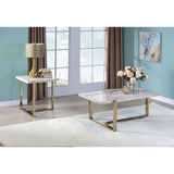 Acme - Feit Coffee Table 83105 Faux Marble Top & Champagne Finish