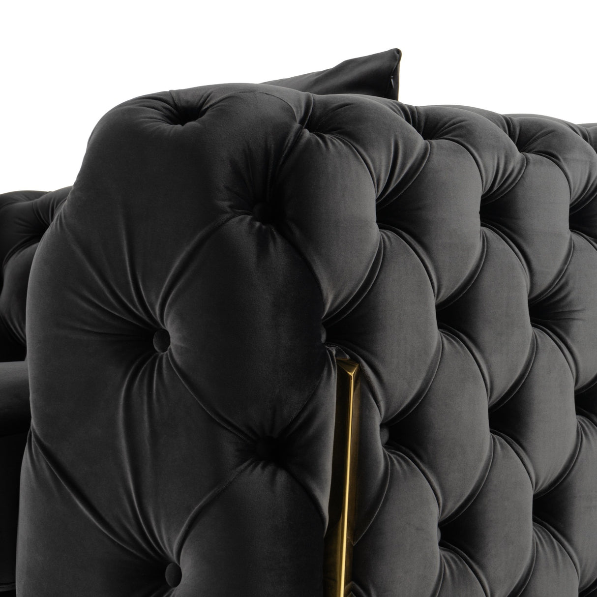 Clarice - Transitional Black Velvet Loveseat - View Image 1