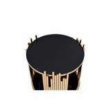 Acme - Tanquin End Table 84492 Black Glass & Gold Finish