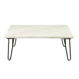 Acme - Telestis Coffee Table 84500 White Marble Top & Black Finish