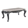 Ariadne Coffee Table 85345 Marble Top & Platinum Finish | Acme | Home Elegance USA